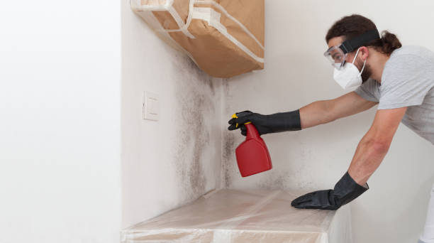 Professional Bathroom Mold Removal technician working in Cedar Grove, NJ